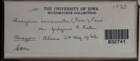 Image Associated With the Occurence